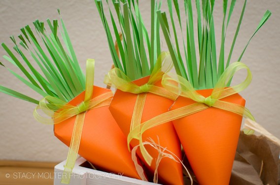 Easter Carrot Treat Box
